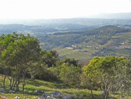 Du Gros Cerveau, vers la Ste Baume...